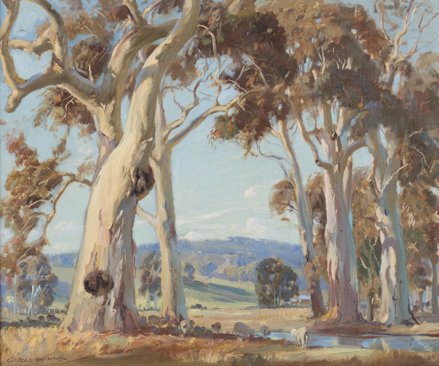ACC 64 Shire Of Plantagenet Art Collection Shire Of Plantagenet