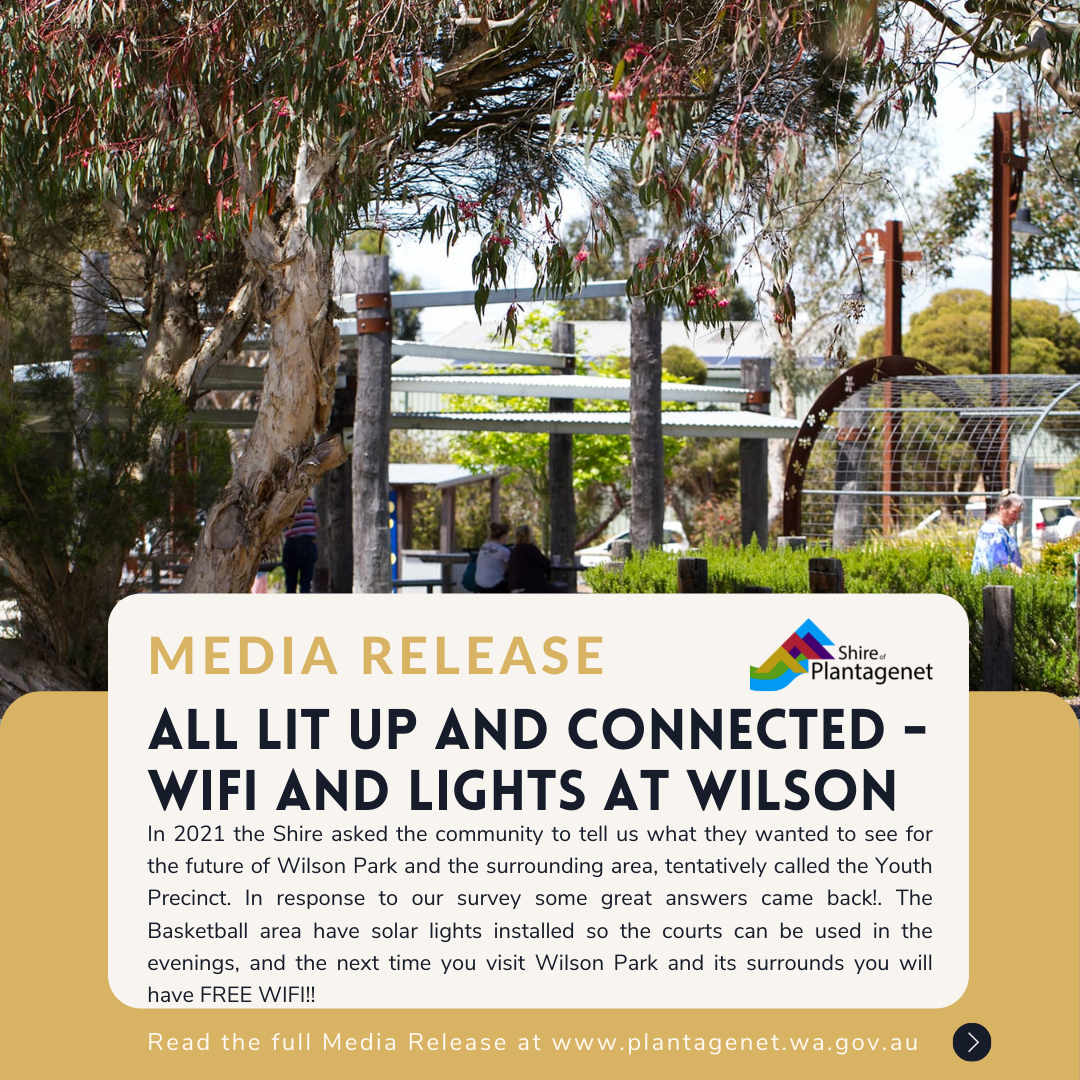All Lit Up and Connected - WiFi and Lights in Wilson