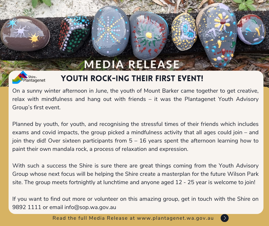 Media Release - Youth Advisory Group Mandala Rock Painting Event