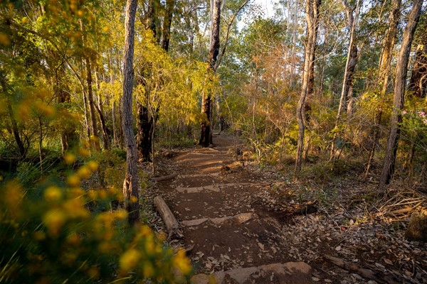 Attractions - Porongurup National Park