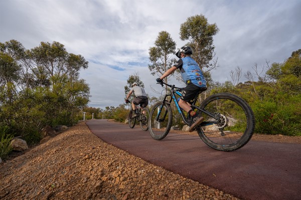 Attractions - Mountain biking at Tower Hill