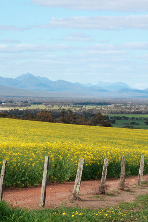 Kendenup Place Plan | Community Workshop