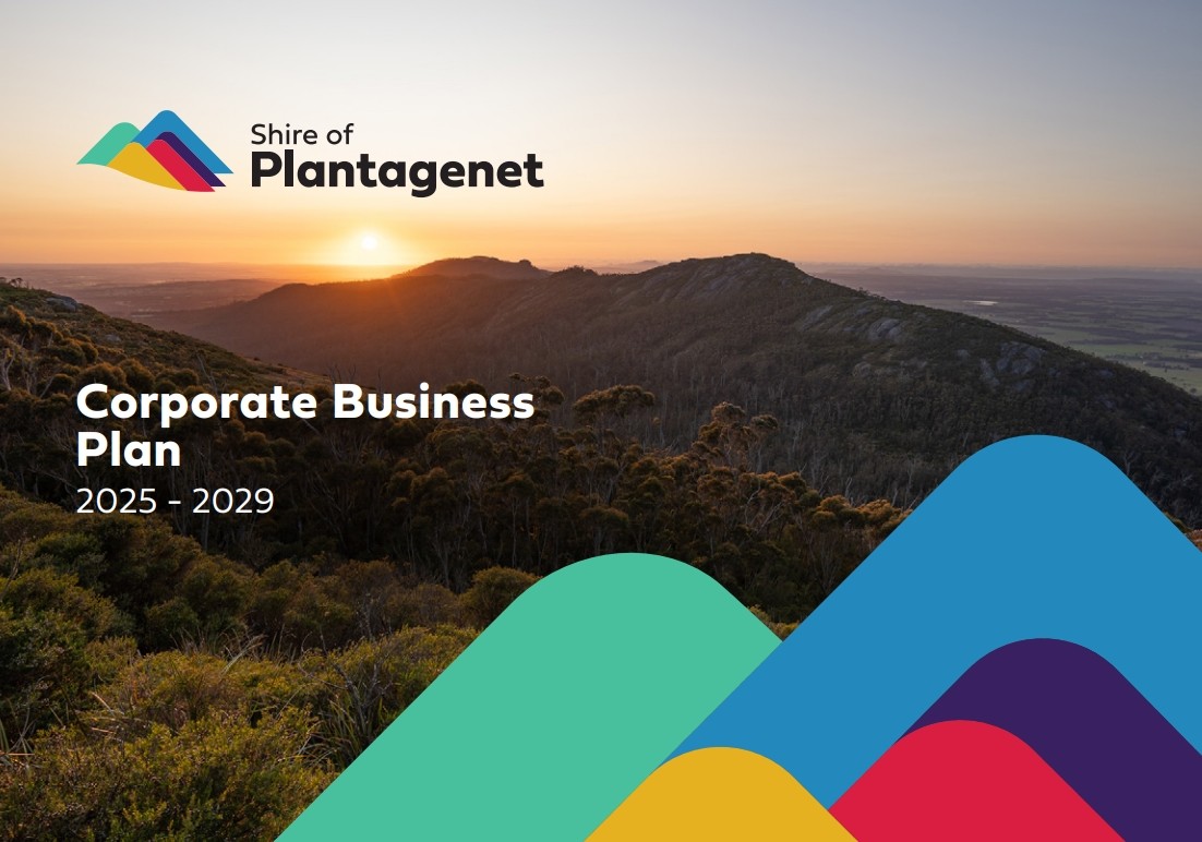 Corporate Business Plan 2025-2029 adopted
