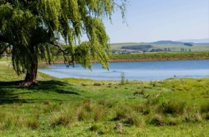 Have your say on Draft Local Planning Policy #8