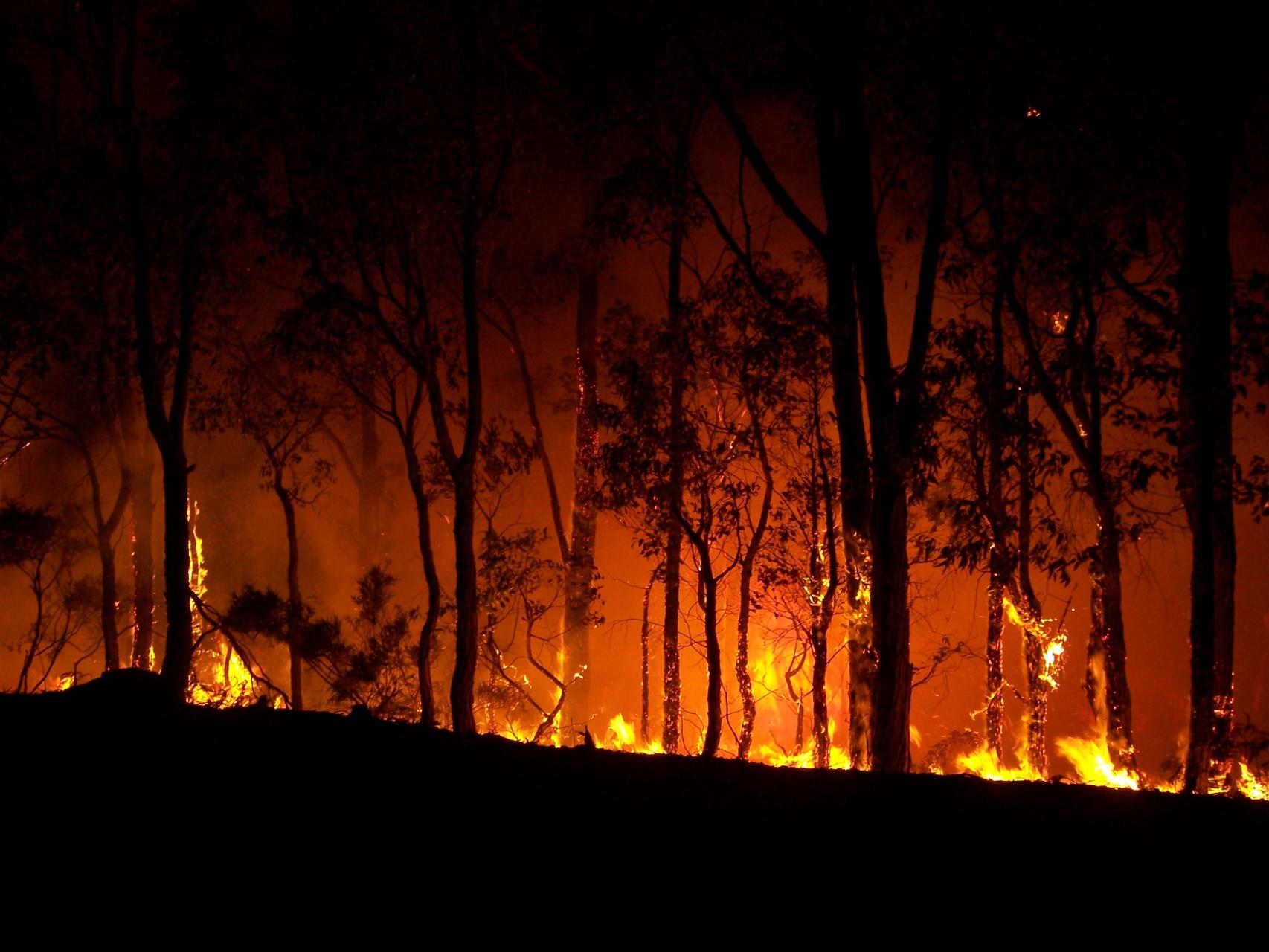 Warmer, drier spring forecast – be bushfire ready